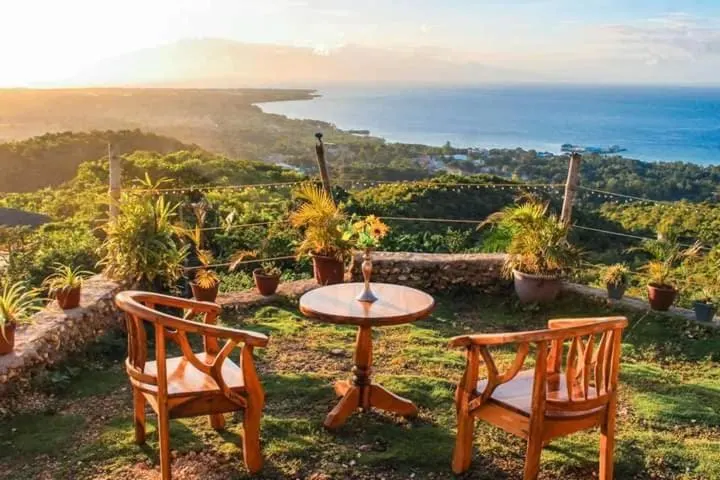 Garden table at golden hour