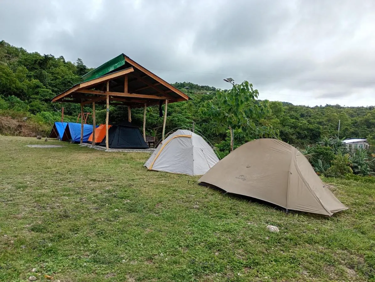 Tents on the lawn
